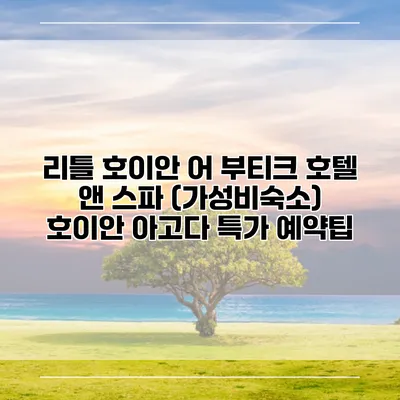 리틀 호이안 어 부티크 호텔 앤 스파 (가성비숙소) 호이안 아고다 특가 예약팁