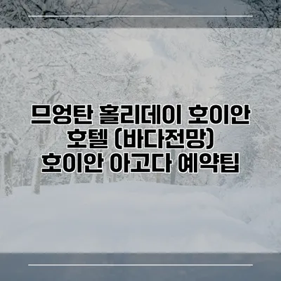 므엉탄 홀리데이 호이안 호텔 (바다전망) 호이안 아고다 예약팁