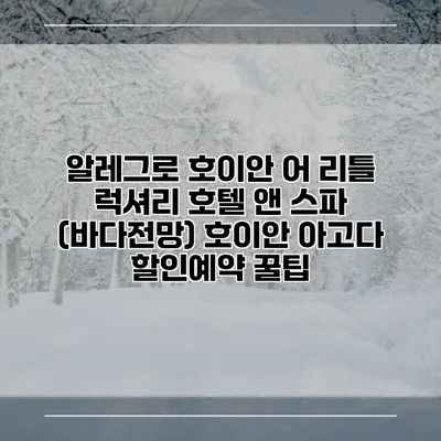 알레그로 호이안 어 리틀 럭셔리 호텔 앤 스파 (바다전망) 호이안 아고다 할인예약 꿀팁