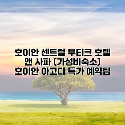 호이안 센트럴 부티크 호텔 앤 사파 (가성비숙소) 호이안 아고다 특가 예약팁